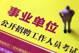 公務員、事業單位與三支一扶面試的抉擇與應對策略